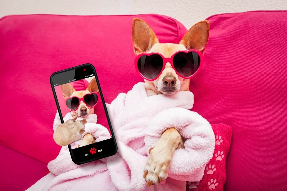Useful apps for construction sites