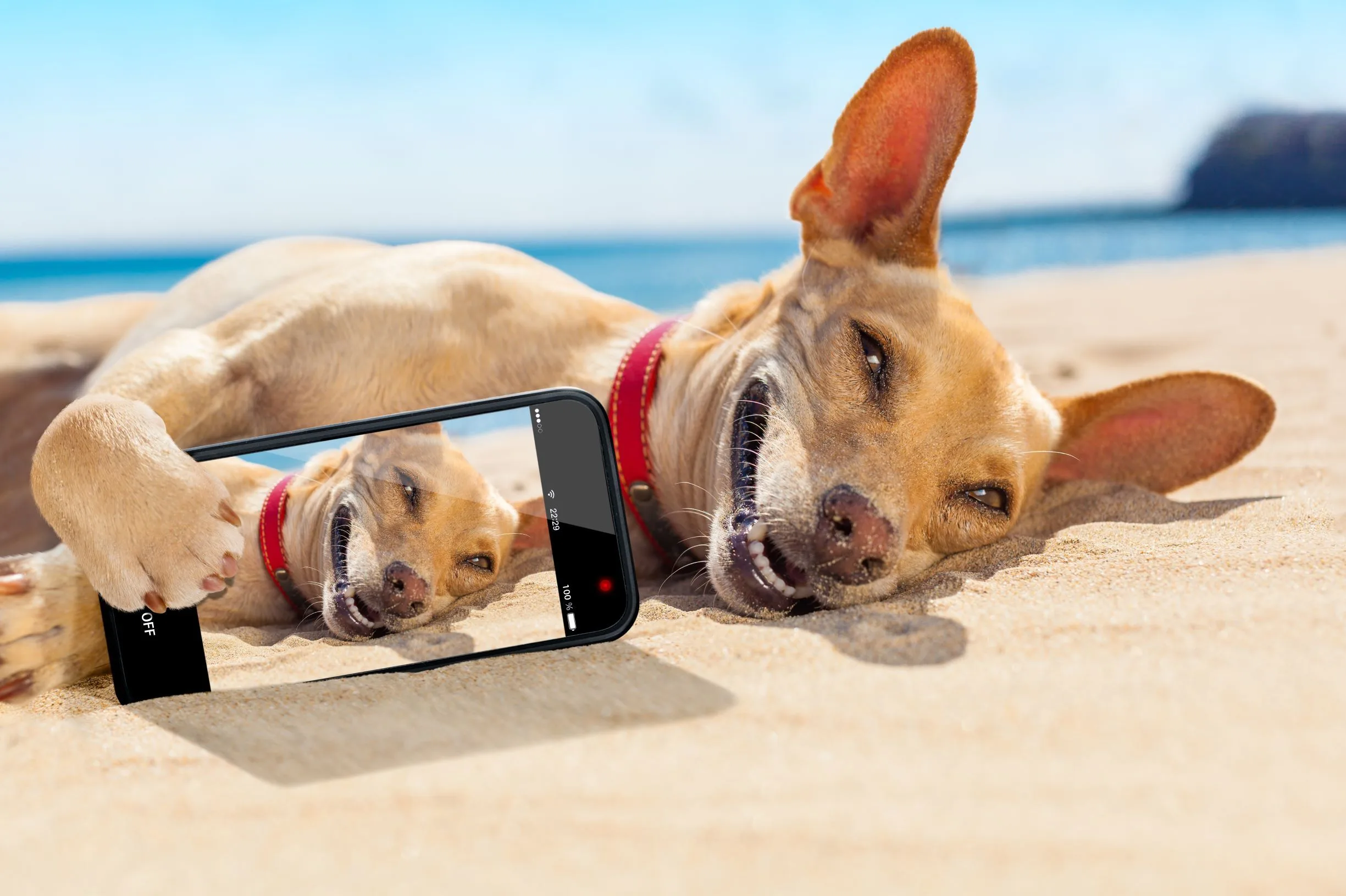 Useful apps for construction sites