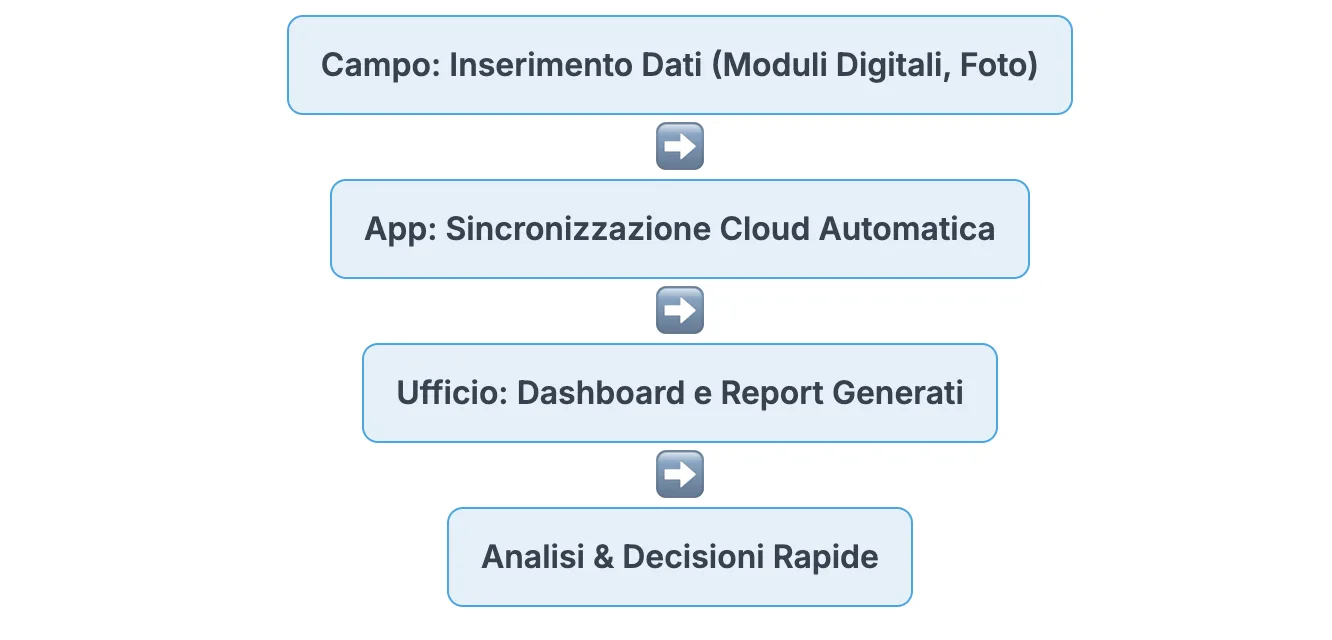 Questo diagramma a flusso illustra il processo semplificato e automatizzato di raccolta dati sul campo